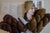 Malabrigo Yarn Sock CHOCOLATE AMARGO #812