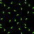 GLOW in the DARK Fabric SCATTERED DOLPHINS 2 Cobalt Blue from Ocean Glow Collection By Lewis and Irene D#A782 C#3