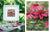 Inspirations - Embroidery Magazine from Australia, Issue #120, Celebrate 30 Years!