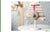 The Design Collective - CHRISTMAS - Book by Inspirations Studios, Australia, Featuring 12 Designers