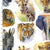 Fabric SAFARI ANIMALS, WHITE, from Into The Wild Collection by John Keeling for 3 Wishes, # 20177-WHT-CTN-D