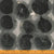 Random Thoughts Collection, Quilting Fabric Canning, Thunder Cake, 52843-21 from Marcia Derse for Windham Fabrics