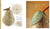 Inspirations: A Passion for Needlework, Blakiston Creamery - Embroidery Book from Australia INSBKAPFN3