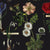 Fabric BOTANICALS BLACK by Janet Wecker-Frisch from the Art Journal Collection from Riley Blake Designs, CD13038 Black