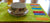 Table Mats Colors of the Rainforest, set of 4