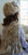 Knitted Scarf--Amelie, White/Tan
