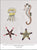 Modern Japanese Embroidery Stitches by Noriko Tsuchihashi, from Tuttle Editions