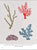 Modern Japanese Embroidery Stitches by Noriko Tsuchihashi, from Tuttle Editions